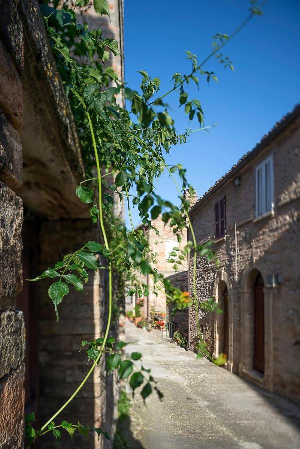 La Rosa Scarlatta Monterubbiano Exteriér fotografie