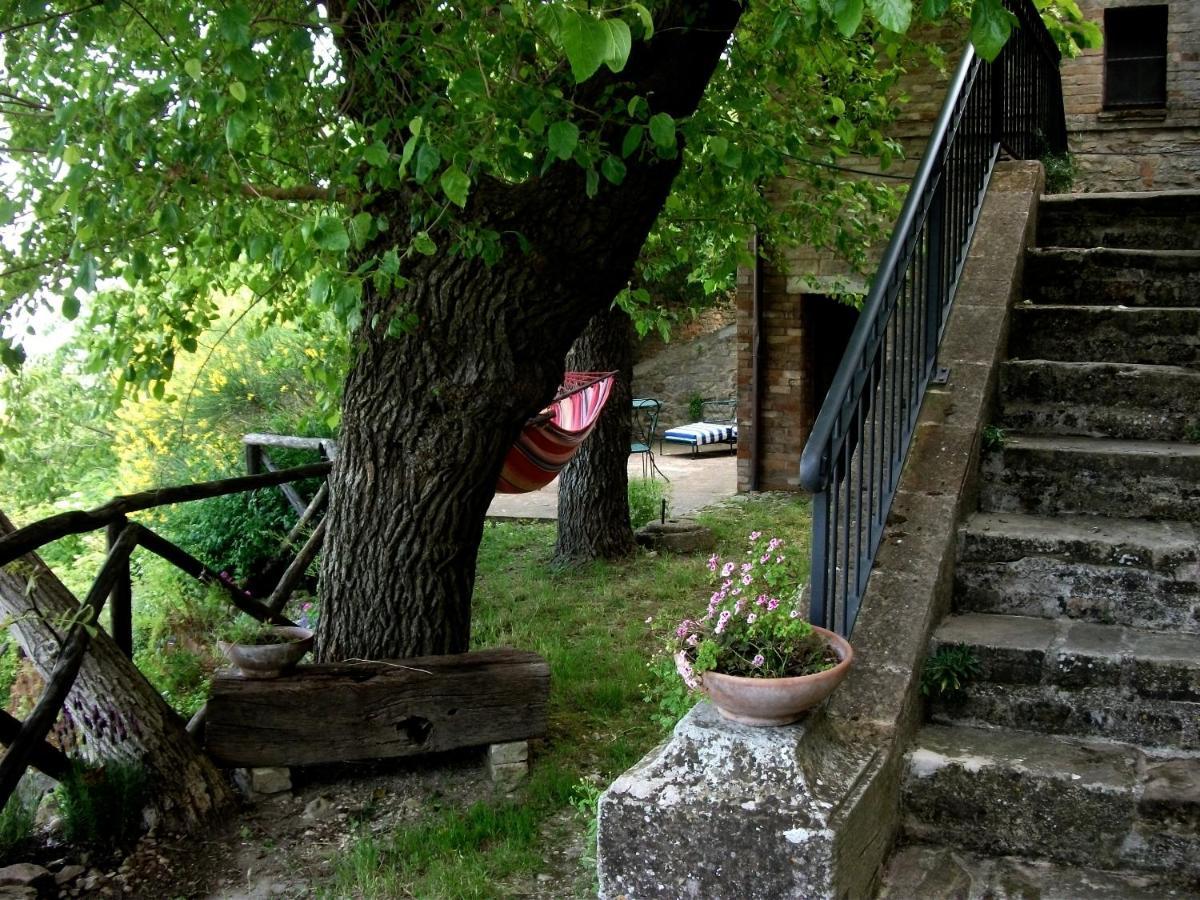 La Rosa Scarlatta Monterubbiano Exteriér fotografie